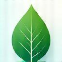 Leaf icon representing sustainability